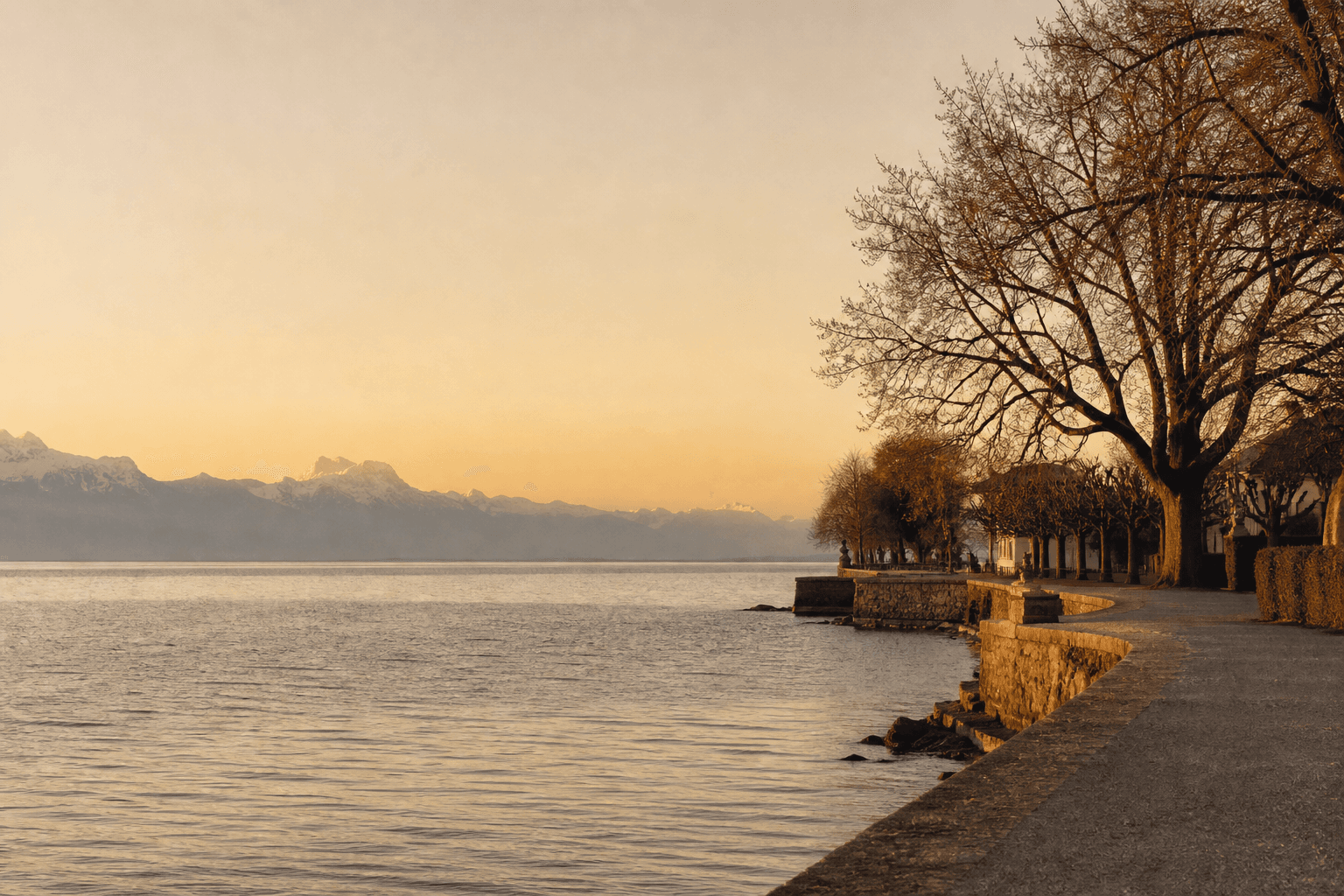 Le Léman depuis Nyon